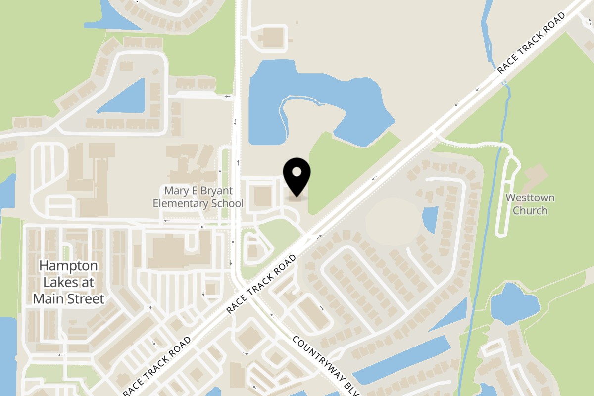 Map showing the location of Sushi Alive on 13234 Race Track Rd in Tampa